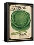 Vintage Cabbage Seed Packet-null-Framed Stretched Canvas