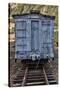 Vintage Caboose I-Kathy Mahan-Stretched Canvas