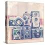 Vintage Camera II-Thomas Brown-Stretched Canvas
