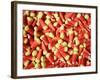 Vintage Candy, Ouray, Colorado, USA-Julian McRoberts-Framed Photographic Print