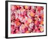 Vintage Candy, Ouray, Colorado, USA-Julian McRoberts-Framed Photographic Print