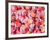 Vintage Candy, Ouray, Colorado, USA-Julian McRoberts-Framed Photographic Print