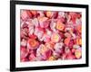 Vintage Candy, Ouray, Colorado, USA-Julian McRoberts-Framed Photographic Print