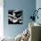 Vintage Car-null-Mounted Photographic Print displayed on a wall