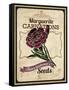 Vintage Carnation Seed Packet-null-Framed Stretched Canvas