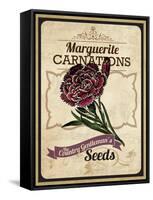 Vintage Carnation Seed Packet-null-Framed Stretched Canvas