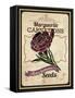 Vintage Carnation Seed Packet-null-Framed Stretched Canvas