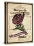 Vintage Carnation Seed Packet-null-Stretched Canvas