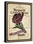 Vintage Carnation Seed Packet-null-Framed Stretched Canvas