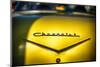 Vintage Chevrolet Trunk with Emblem-George Oze-Mounted Photographic Print