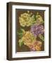 Vintage Chintz IV-Chariklia Zarris-Framed Art Print