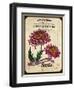 Vintage Chrysanthemum Seed Packet-null-Framed Giclee Print