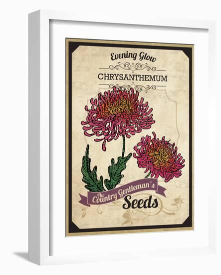 Vintage Chrysanthemum Seed Packet-null-Framed Giclee Print