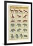 Vintage Circus Animal Toys-null-Framed Art Print