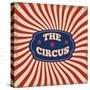 Vintage Circus Background-radubalint-Stretched Canvas