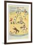 Vintage Circus Toys-null-Framed Art Print