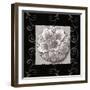 Vintage Classic Rosette IV-null-Framed Art Print