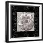 Vintage Classic Rosette IV-null-Framed Art Print