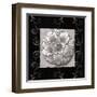 Vintage Classic Rosette IV-null-Framed Art Print