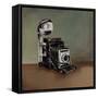 Vintage Classics II - camera-Sydney Edmunds-Framed Stretched Canvas