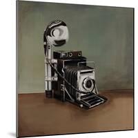 Vintage Classics II - camera-Sydney Edmunds-Mounted Giclee Print