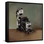Vintage Classics II - camera-Sydney Edmunds-Framed Stretched Canvas