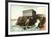 Vintage Cliff House-null-Framed Art Print