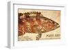 Vintage Color Fish: Porto Rico, US Fish Commission Fish Hawk, 1899-Christine Zalewski-Framed Art Print