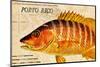 Vintage Color Fish, Porto Rico: US Fish Commission Fish Hawk 1900-Christine Zalewski-Mounted Premium Giclee Print