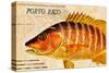 Vintage Color Fish, Porto Rico: US Fish Commission Fish Hawk 1900-Christine Zalewski-Stretched Canvas