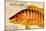 Vintage Color Fish, Porto Rico: US Fish Commission Fish Hawk 1900-Christine Zalewski-Mounted Art Print