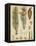Vintage Conifers IV-null-Framed Stretched Canvas