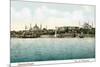 Vintage Constantinople Skyline, Turkey-null-Mounted Art Print