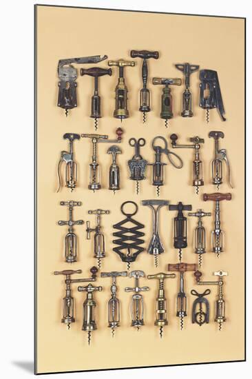 Vintage Corkscrews-Andrew Rose-Mounted Giclee Print