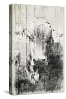 Vintage Cow Mate-Jace Grey-Stretched Canvas