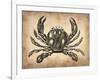 Vintage Crab-NaxArt-Framed Art Print