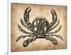 Vintage Crab-NaxArt-Framed Art Print