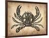 Vintage Crab-NaxArt-Framed Art Print