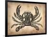 Vintage Crab-NaxArt-Framed Art Print