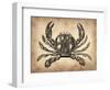 Vintage Crab-NaxArt-Framed Art Print