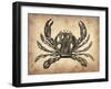 Vintage Crab-NaxArt-Framed Art Print