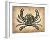 Vintage Crab-NaxArt-Framed Art Print