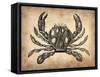 Vintage Crab-NaxArt-Framed Stretched Canvas