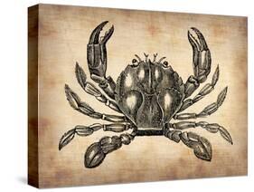 Vintage Crab-NaxArt-Stretched Canvas