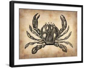 Vintage Crab-NaxArt-Framed Art Print