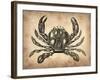 Vintage Crab-NaxArt-Framed Art Print