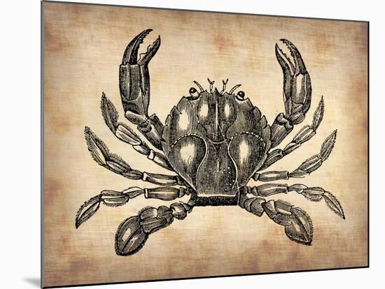 Vintage Crab-NaxArt-Mounted Art Print