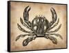 Vintage Crab-NaxArt-Framed Stretched Canvas