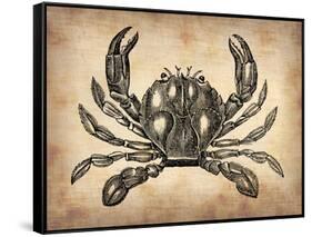 Vintage Crab-NaxArt-Framed Stretched Canvas