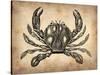 Vintage Crab-NaxArt-Stretched Canvas